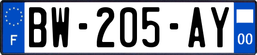 BW-205-AY