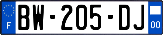 BW-205-DJ