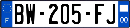 BW-205-FJ