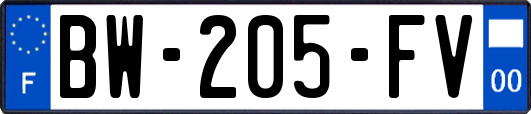 BW-205-FV