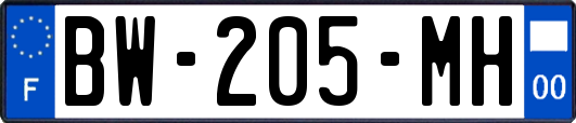 BW-205-MH