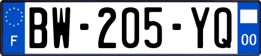 BW-205-YQ