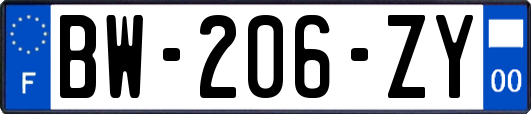 BW-206-ZY