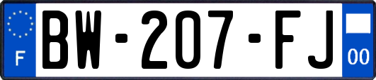 BW-207-FJ