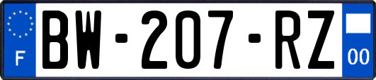 BW-207-RZ