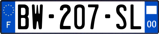 BW-207-SL