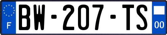 BW-207-TS
