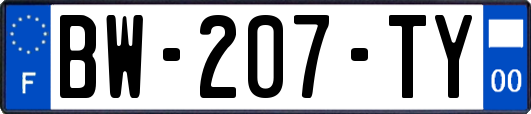 BW-207-TY