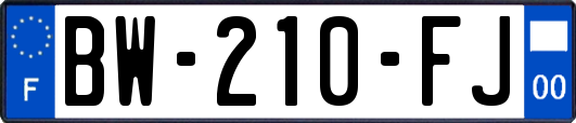 BW-210-FJ