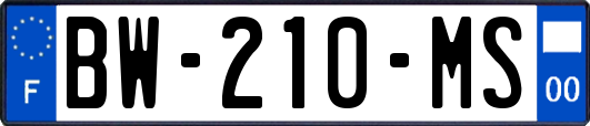 BW-210-MS