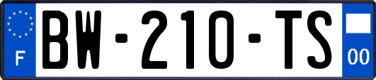 BW-210-TS