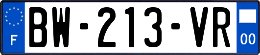 BW-213-VR