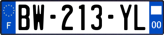 BW-213-YL