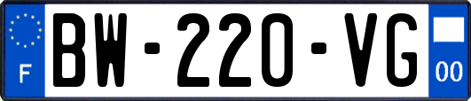 BW-220-VG