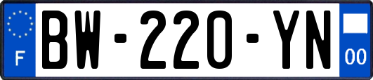 BW-220-YN