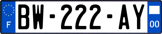 BW-222-AY
