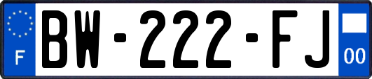 BW-222-FJ