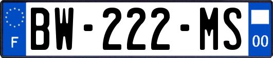 BW-222-MS