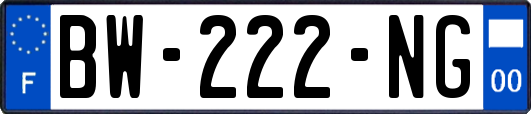 BW-222-NG