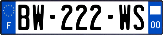BW-222-WS