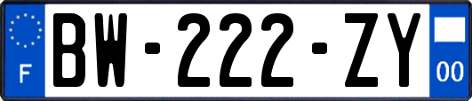 BW-222-ZY