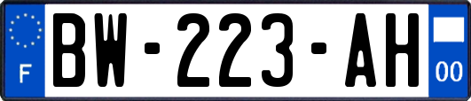 BW-223-AH