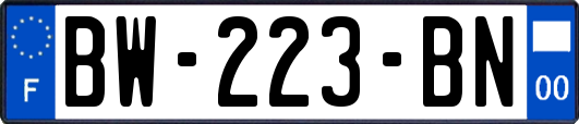 BW-223-BN