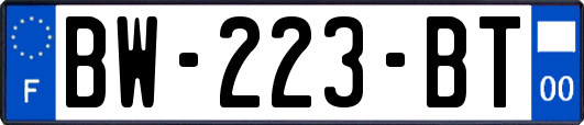 BW-223-BT