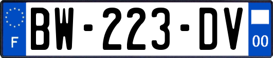BW-223-DV