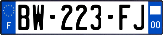 BW-223-FJ