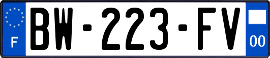 BW-223-FV