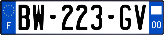 BW-223-GV