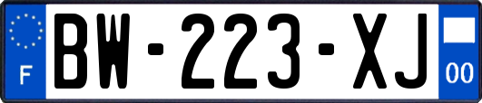 BW-223-XJ