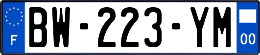 BW-223-YM