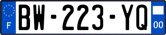 BW-223-YQ