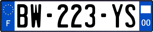 BW-223-YS