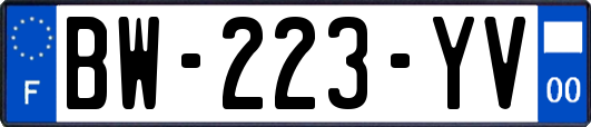 BW-223-YV