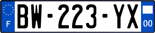 BW-223-YX