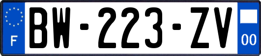 BW-223-ZV