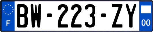 BW-223-ZY