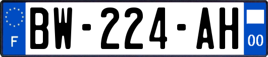 BW-224-AH