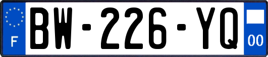 BW-226-YQ