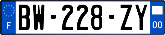BW-228-ZY
