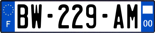 BW-229-AM