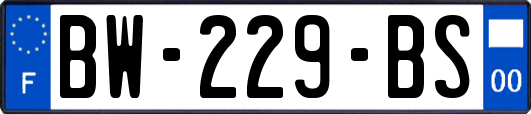BW-229-BS