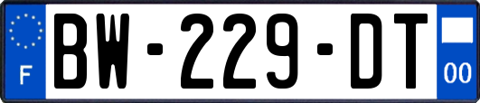 BW-229-DT