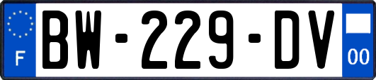 BW-229-DV