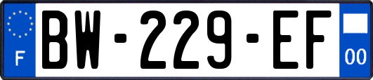 BW-229-EF