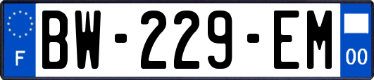 BW-229-EM