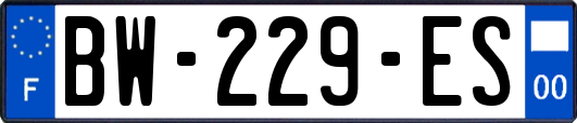 BW-229-ES